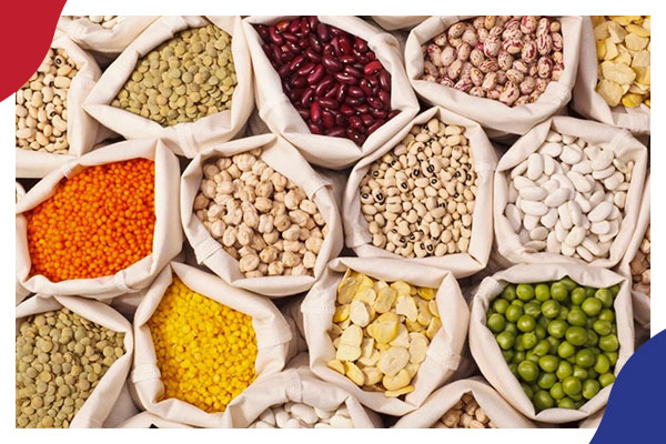 روسيا- أوكرانيا: الجوع يهدد دولا .. ومصر صندوق بارود ينتظر الاشتعال