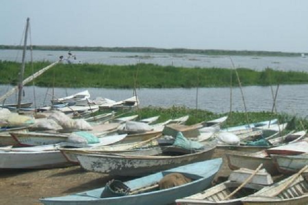الجيش يستحوذ على بحيرة «المنزلة»: اعتقال 100 صياد بتهمة الصيد الممنوع!