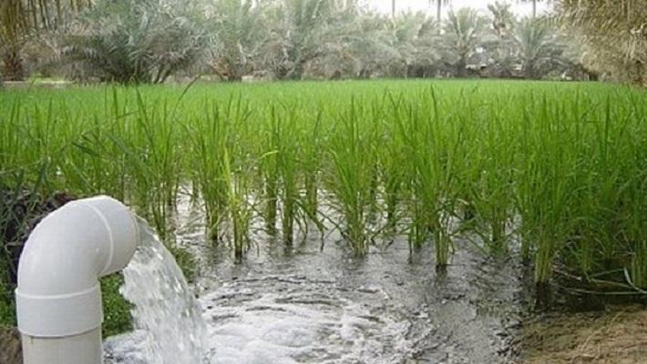 غضب بأوساط الفلاحين بعد إقرار برلمان السيسي رسوم باهظة لأعمال الري